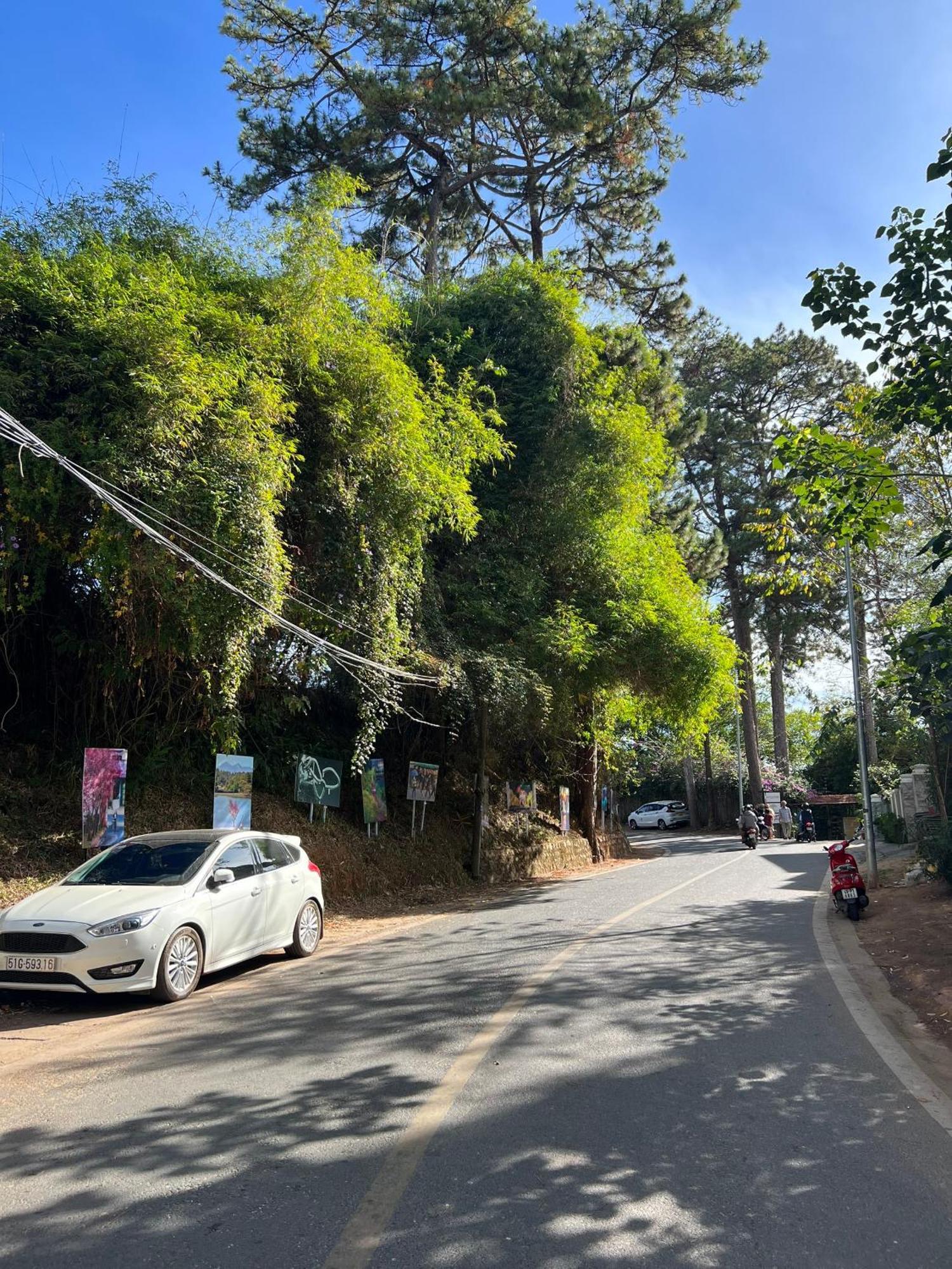 Nature Hotel - Dalat 3 Exteriér fotografie